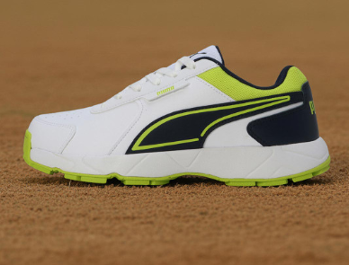 PUMA Cricket Strike Men Shoes