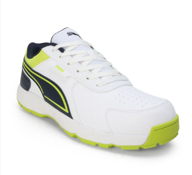 PUMA Cricket Strike Men Shoes