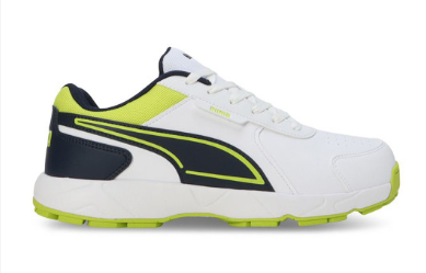 PUMA Cricket Strike Men Shoes